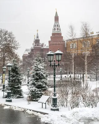 Александровский сад зимой - фото №570 - Moscow Photos
