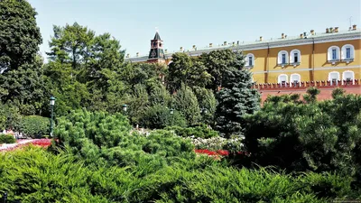 Александровский сад Москва | Путешествия по России и миру | Дзен