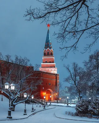 Сердце Москвы: Красная площадь и Александровский сад - туры и гиды от City  Trips