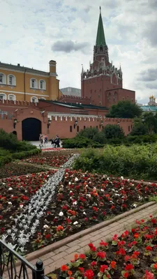 Александровский сад, Москва - «Александровский сад - парк в центре Москвы.  Мои впечатления» | отзывы