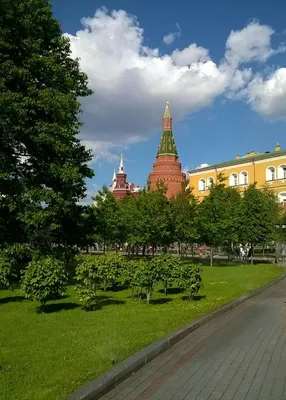 File:Александровский сад (Aleksandrovskiy-sad), Москва 10.jpg - Wikimedia  Commons