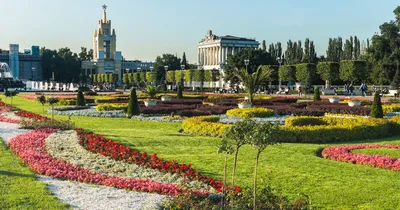 Новая оранжерея в Главном ботаническом саду примет посетителей в ближайшие  месяцы - Собянин :: Новости :: ТВ Центр