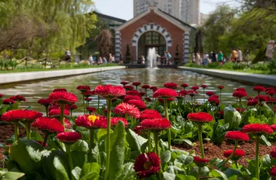 У метро «Ботанический сад» для всех открылся китайский парк «Хуамин» -  Москвич Mag