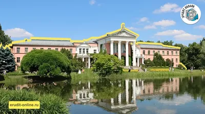 В розарии Главного ботанического сада можно встретить уникальные сорта  цветов – Москва 24, 23.07.2022