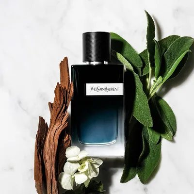 Y Eau de Toilette — Fragrance Gifts For Men — YSL Beauty | Perfume, Luxury  perfume, Best fragrances