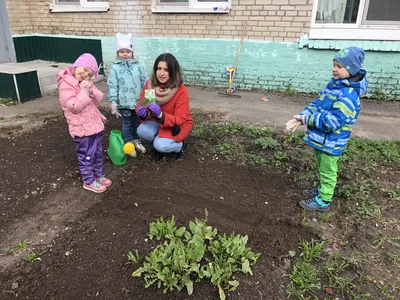 Наш сад-огород | ГБСУСОН «Александровский дом-интернат для престарелых и  инвалидов»