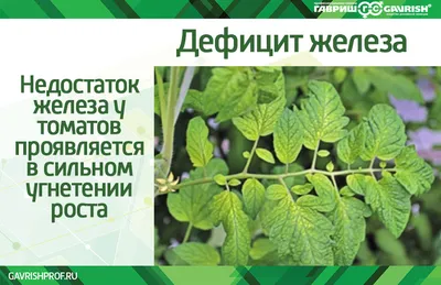 Выращивание огурцов в теплице из поликарбоната зимой: как правильно, чтобы  не замерзли