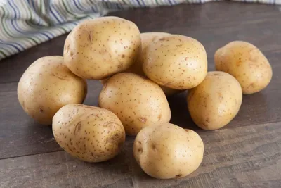 Научно-производственная компания «АгроЛидер» - Сохраним урожай картофеля!