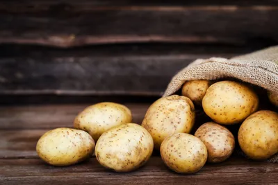Как бороться с нематодами на картофельном поле без химических решений