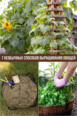 DIY Красивые высокие грядки своими руками. Должно быть у каждого! - YouTube