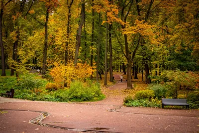 Прогулка по Нескучному саду - MoscoWalk.ru - Прогулки по Москве | Парки