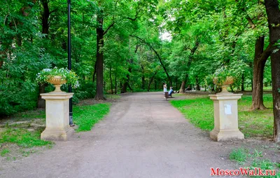 Осень в Нескучном саду. | Пикабу