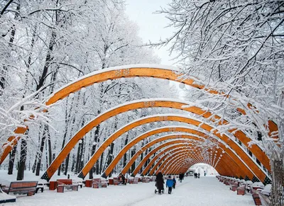 Город на память». 279. Нескучный сад по-советски - Русский блоггер