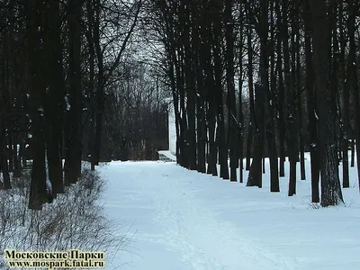 Активный отдых в Парке Горького - Чем заняться в Москве: Афиша мест и  событий Москвы