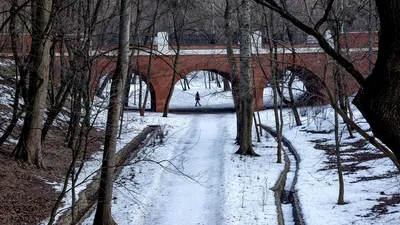 Агентство городских новостей «Москва» - Фотобанк