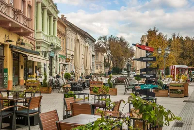 17 Things to Do in Novi Sad – European Capital of Culture 2022