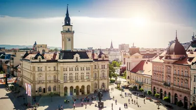 Novi Sad: 7 things to do in this year's European Capital of Culture |  Euronews