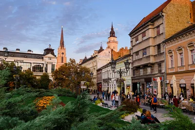 Visit Novi Sad: 2024 Travel Guide for Novi Sad, Vojvodina | Expedia