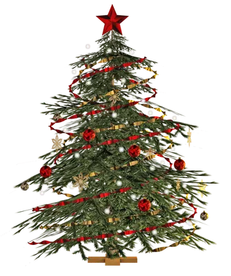 Christmas tree PNG transparent image download, size: 4572x6689px