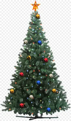 Holiday Christmas Tree PNG Image - PurePNG | Free transparent CC0 PNG Image  Library