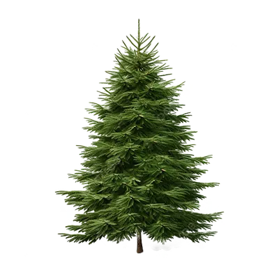 Christmas Tree Png - Новогодняя Елка Рисунок Png, Transparent Png -  3443x3965 (#877224) - PinPng