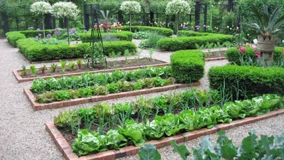 Новые идеи для сада и огорода фото фотографии