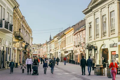 Нови-Сад – достопримечательности, бары и кафе в путеводителе
