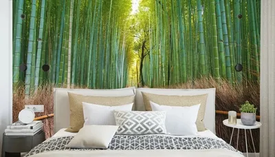 Бамбуковые обои в интерьере прихожей - 75 фото