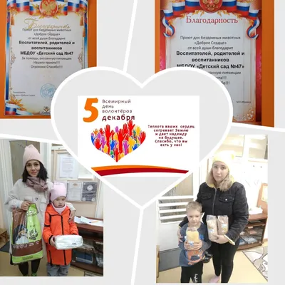 Лучших воспитателей наградили в Воронеже ко Дню дошкольного работника
