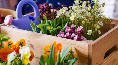 5 способов оформить сад цветами в контейнерах (во-первых, это просто) |  ivd.ru