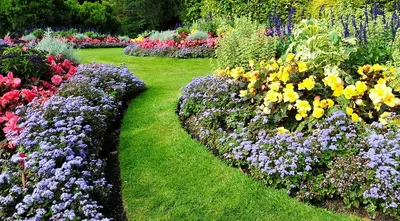Какие цветы лучше для оформления сада? | МОЙ САД У ДОМА | Дзен