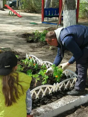 Конкурс \"Зимняя веранда\" — Новости — МБДОУ «Детский сад комбинированного  вида № 55»