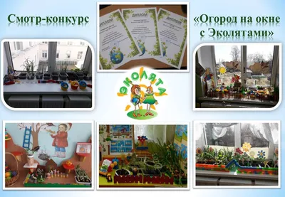Воспитанники южно-сахалинского детского сада №4 \"Лебедушка\" создали мини- огороды на подоконниках. Сахалин.Инфо