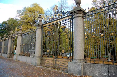 Решетка Летнего сада. Ограды и решетки. Фото Санкт-Петербурга