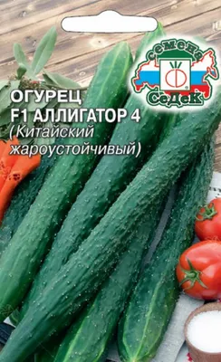 Огурец Аллигатор-4 F1 (Китайский Жароустойчивый) 0,2 гр. купить оптом в  Томске по цене 43,36 руб.