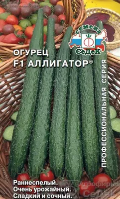 Огурцы Седек ос-1506 - купить по выгодным ценам в интернет-магазине OZON  (489116570)