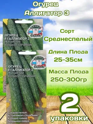 Огурец Аллигатор F1 (семена) купить по цене 99 ₽ в интернет-магазине  KazanExpress