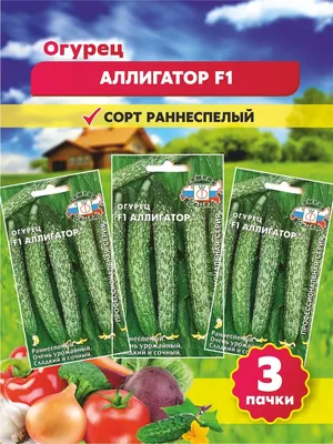 Семена огурец Аллигатор 4 F1, 0,2 г (2 шт) - РусЭкспресс