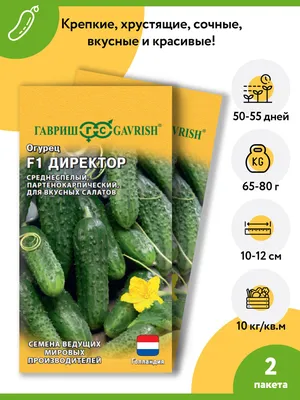 Купить огурец директор f1 (опт) по цене 112,32 руб. в интернет магазине  \"Первые Семена\"