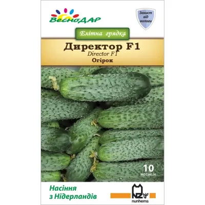 Купить семена Огурец Директор F1 в магазине Первые Семена по цене 144 руб.