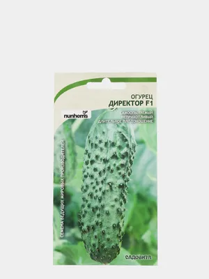 Семена Первые семена Огурец Директор F1 034799-1Семена - выгодная цена,  отзывы, характеристики, фото - купить в Москве и РФ
