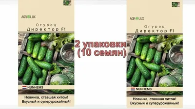 Огурец Директор Семко — Сей Сам Ру - интернет магазин семян