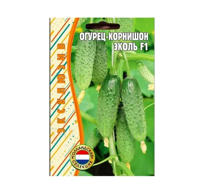 Насіння огірка Syngenta Еколь F1 50 насінин – фото, отзывы, характеристики  в интернет-магазине ROZETKA от продавца: Полемікс | Купить в Украине:  Киеве, Харькове, Днепре, Одессе, Запорожье, Львове