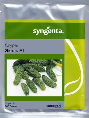 Эколь F1 семена огурца партенокарпический Syngenta купить, цена в  интернет-магазине Супермаркет Семян