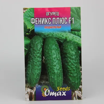 Купить семена Огурец Феникс плюс в Минске и почтой по Беларуси