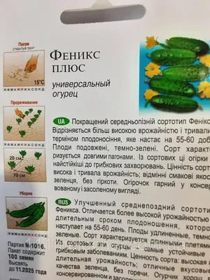 Феникс 640 семена огурца пчелоопыляемый Україна купить, цена в  интернет-магазине Супермаркет Семян