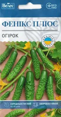 Семена Огурец «Феникс» 640 по цене 25 ₽/шт. купить в Краснодаре в  интернет-магазине Леруа Мерлен