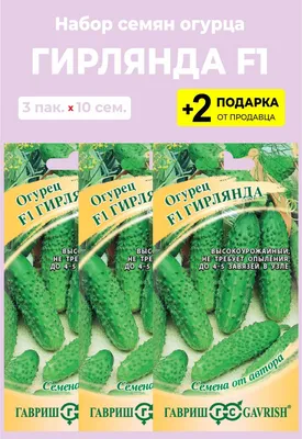 Огурец Зеленая гирлянда F1 10шт, семена | Купить в интернет магазине Аэлита