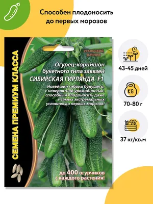 Огурец Сибирская Гирлянда-Агромаркет на Лесной-Купить в Украине и Киеве