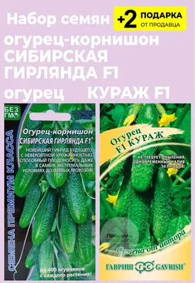 Семена Огурец F1 Зеленая гирлянда: описание сорта, фото - купить с  доставкой или почтой России